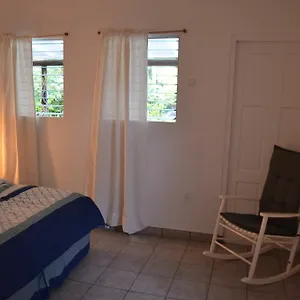 Palm Trees Appartement Willemstad